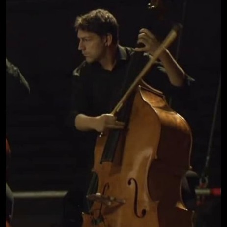 Il Contrabbassista Marco Lepidi